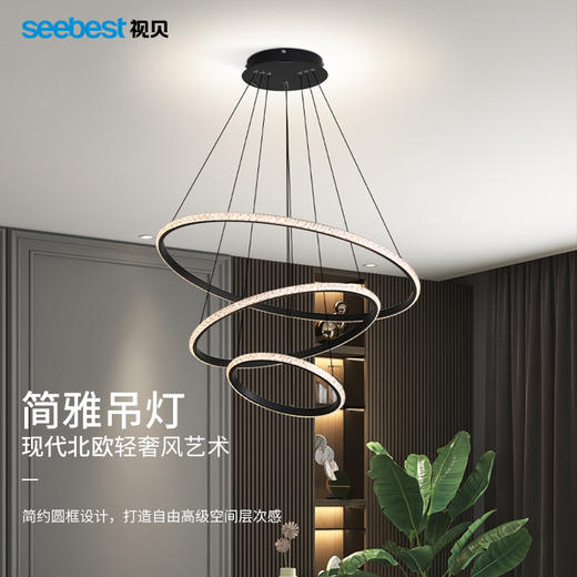 简雅-吊灯 商品图0