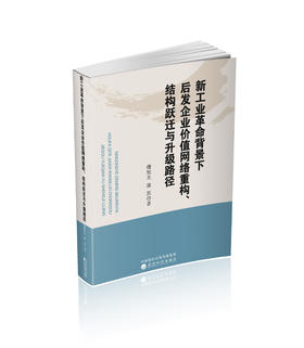 新工业革命背景下后发企业价值网络重构、结构跃迁与升级路径