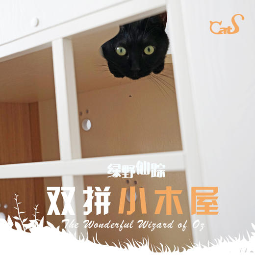 CatS猫家具拼色木屋木制猫爬架 猫的绿野仙踪 猫屋剑麻猫抓柱包邮 商品图2