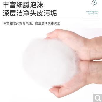 飘柔洗发露170ml 商品图1