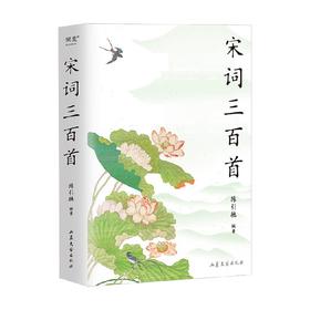 宋词三百首 2023 陈引驰 著 文学