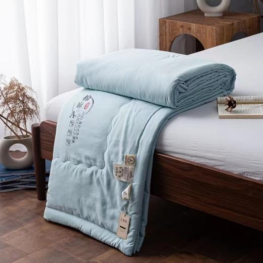 大豆纤维被 商品图0