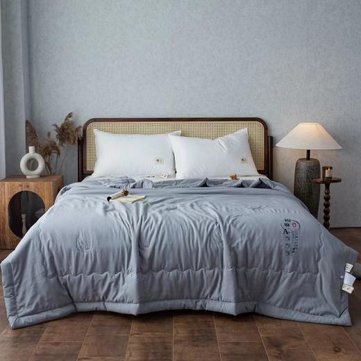 大豆纤维被 商品图1