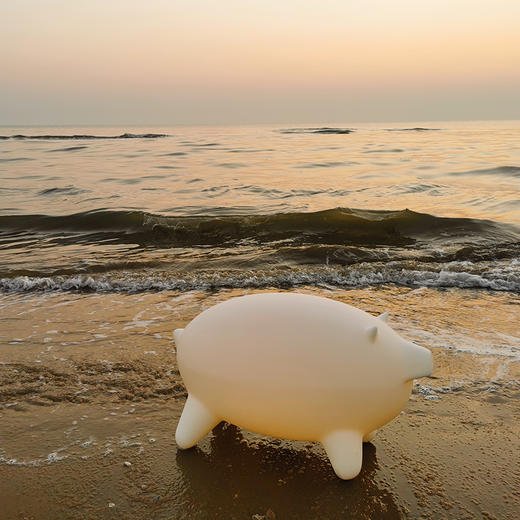 与光共舞 光头仔的游乐园 猪猪灯艺术灯 商品图1