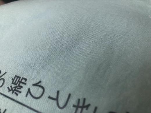 大豆纤维被 商品图3