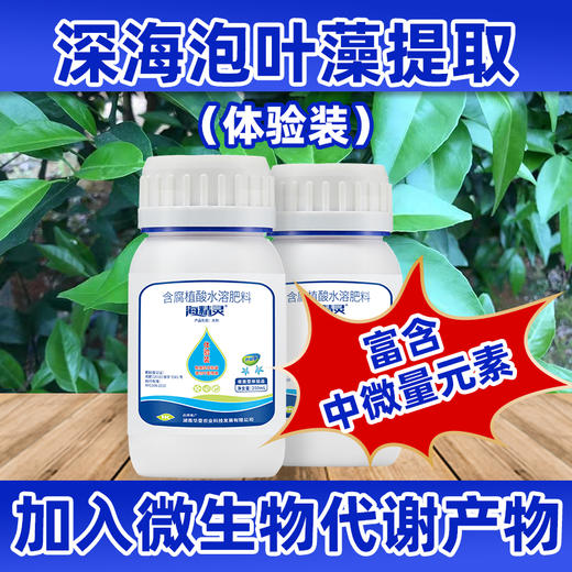 先试再买！海精灵生物刺激剂（根施型）！付邮费试用！ 商品图3