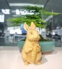 萝卜兔°黄杨木摆件 商品缩略图0