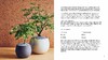 嘉德文库丨LITTLE BOOK OF BONSAI 商品缩略图3