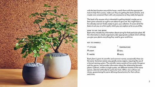 嘉德文库丨LITTLE BOOK OF BONSAI 商品图3