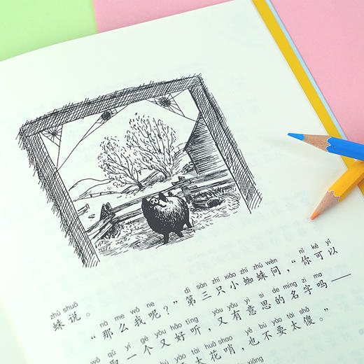 胜利时刻 7-10岁 E·B·怀特 著 儿童文学 商品图1