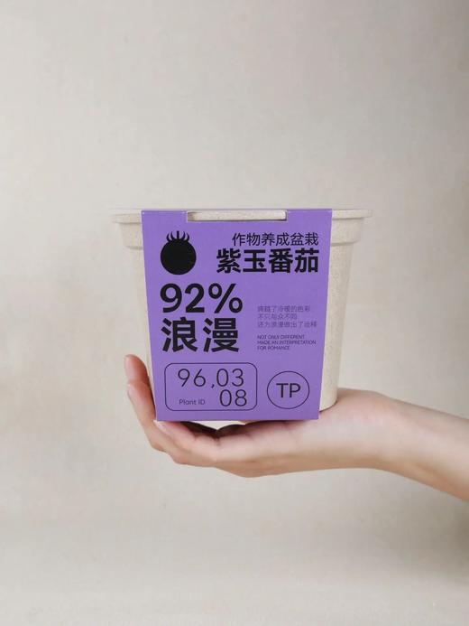 作物生长盆栽产品系列 商品图1