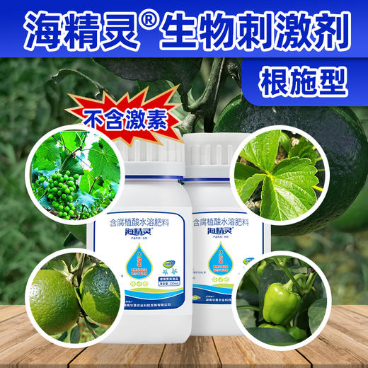 先试再买！海精灵生物刺激剂（根施型）！付邮费试用！ 商品图2