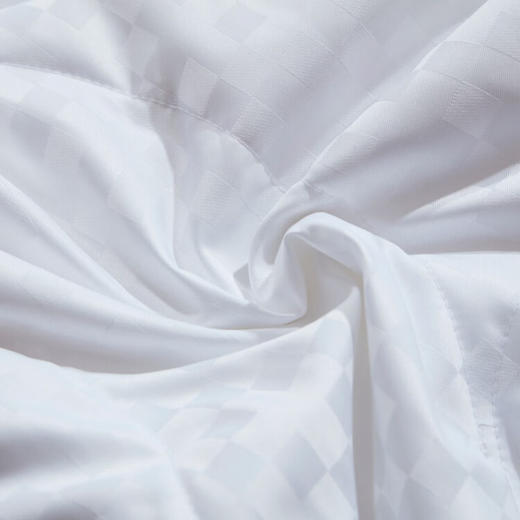 富安娜（FUANNA）印花蚕丝夏被 丽妍 203*229cm 商品图4