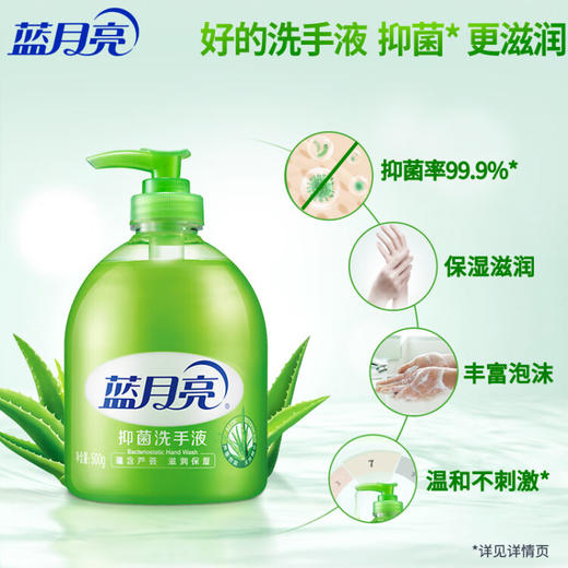 蓝月亮 芦荟抑菌洗手液500g瓶 商品图2
