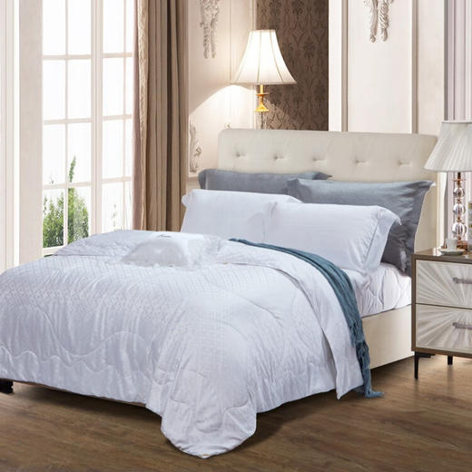 富安娜（FUANNA）印花蚕丝夏被 丽妍 203*229cm 商品图7