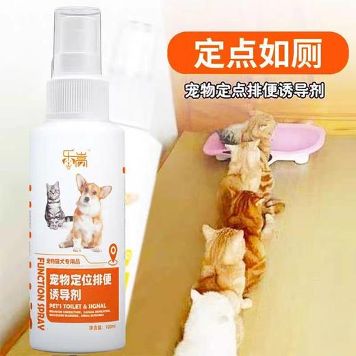 宠物定位排便诱导剂训练狗狗上厕所训导引诱猫咪尿尿&宠物禁区喷雾防止狗狗猫猫乱拉乱尿 商品图2