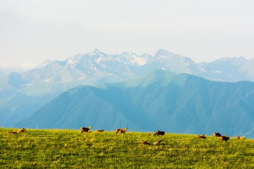 （越野车）新疆·夏季最美独库公、S101S国防公路、精伊牧道、石林秘境12天摄影团 商品图4