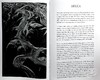 【中商原版】Sebastiao Salgado. GENESIS 进口艺术 萨尔加多 创世纪 Taschen 商品缩略图4