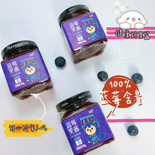 蓝莓果酱  140g*罐 商品图0