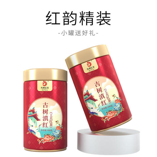 凤牌古树滇红·工夫红茶100g/罐 商品图5
