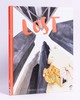  迷失 Lost 儿童绘本故事书 西班牙插画师Mariajo Ilustrajo 英文原版 Lost 商品缩略图0