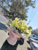 超大黄天霸百合花束（拼团） 商品缩略图1