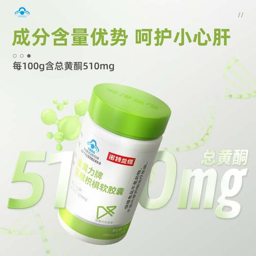 诺特兰德葛根枳椇胶囊  30粒/瓶 商品图3