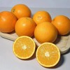 伦晚橙 |湖北水果 商品缩略图2