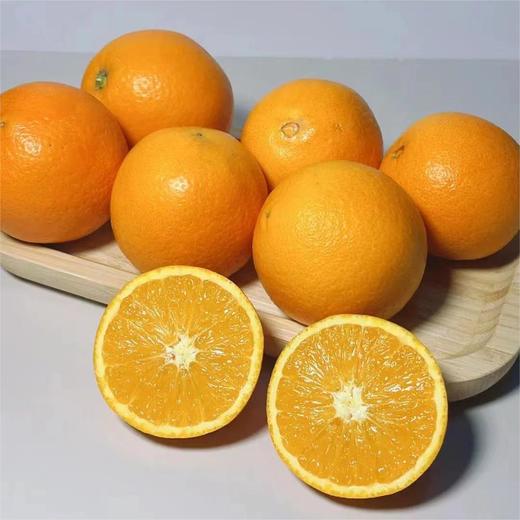 伦晚橙 |湖北水果 商品图2