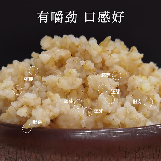 【积分兑换】 | 阿福视界发芽糙米，自带胚芽，东北粗粮富含γ氨基丁酸 免泡糙米 商品图5