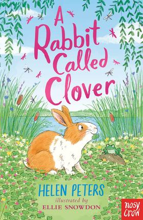 小兔三叶草 奇幻儿童读物 Helen Peters The Jasmine Green Series英文原版 A Rabbit Called Clover