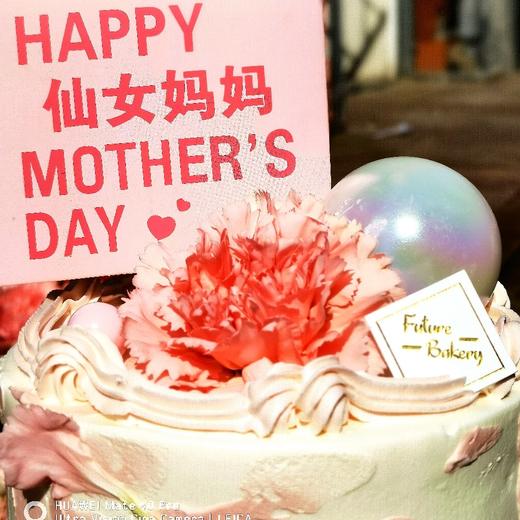 仙女妈妈 商品图1