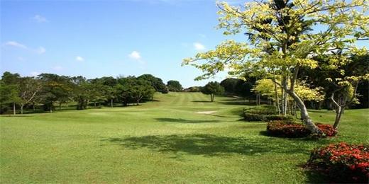 马来西亚-棕榈度假村高尔夫乡村俱乐部
PALM RESORT GOLF&COUNTRY CLUB 商品图3