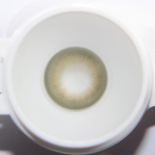 Bollycon旗下 ·日抛 ·小幽灵&小海星· 14.2mm白狮参考着色中等直径 · 韩产日抛 商品图9