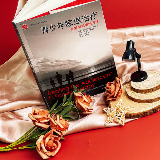 青少年家庭治疗 发展与叙事的方法 心理治疗经典与前沿译丛 商品图1