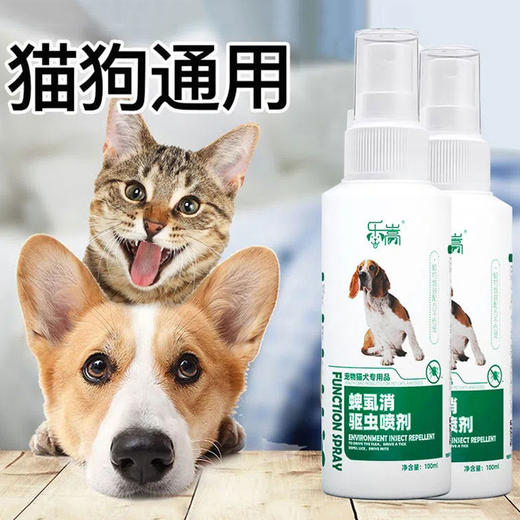 宠物清洁除虱套装（密齿虱梳+体外驱虫喷雾）狗狗清洁工具套装 商品图5