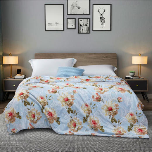 富安娜 FUANNA 家纺 印花蚕丝被-飞仙流萤 203*229cm 商品图1