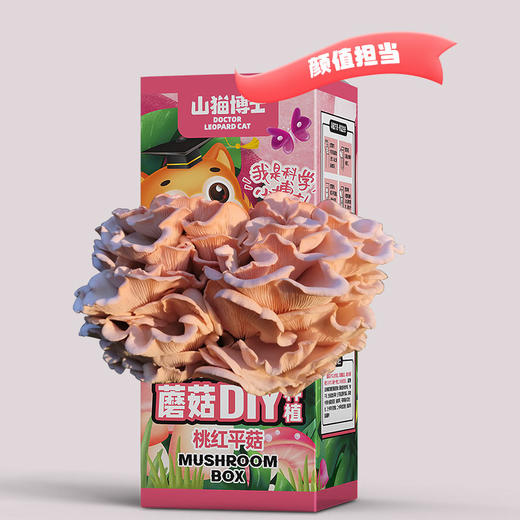 山猫博士可食用蘑菇DIY种植盒 商品图3