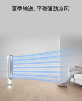 戴森（Dyson）AM07 无叶电风扇 落地扇 强劲稳定气流 进口空气循环扇 白色