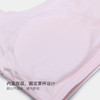 美季美优小熊无痕少女文胸（一阶段）W350501 商品缩略图2