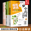 【推荐】视频讲透中药材全图鉴正版+金匮要略3册中草药大全中药材识别图鉴书籍中医入门中草药大全书籍药材植物彩图中医大全书中草药图鉴书 商品缩略图0