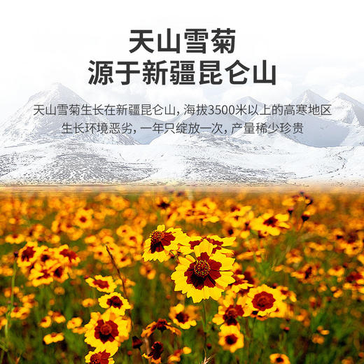 YP疆果果牌昆仑雪菊 商品图2