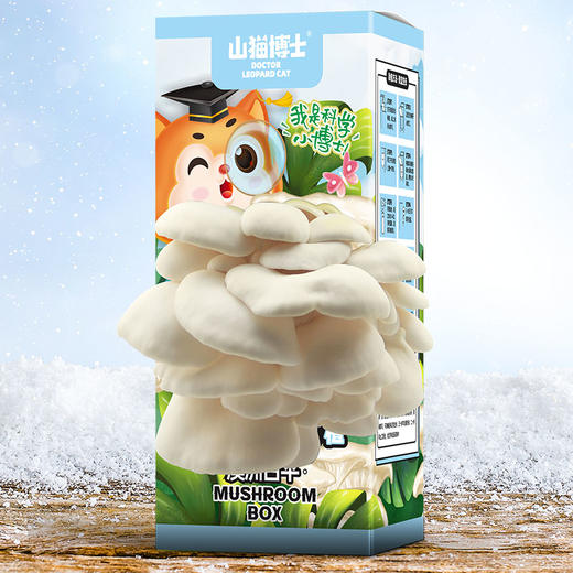 山猫博士可食用蘑菇DIY种植盒 商品图2