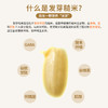 【积分兑换】 | 阿福视界发芽糙米，自带胚芽，东北粗粮富含γ氨基丁酸 免泡糙米 商品缩略图7