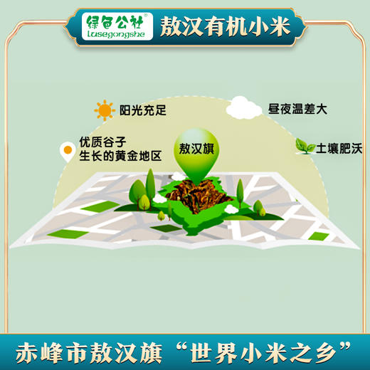 绿色公社敖汉有机小米 黄小米 内蒙古敖汉小米 清香软糯米油厚5kg 商品图3