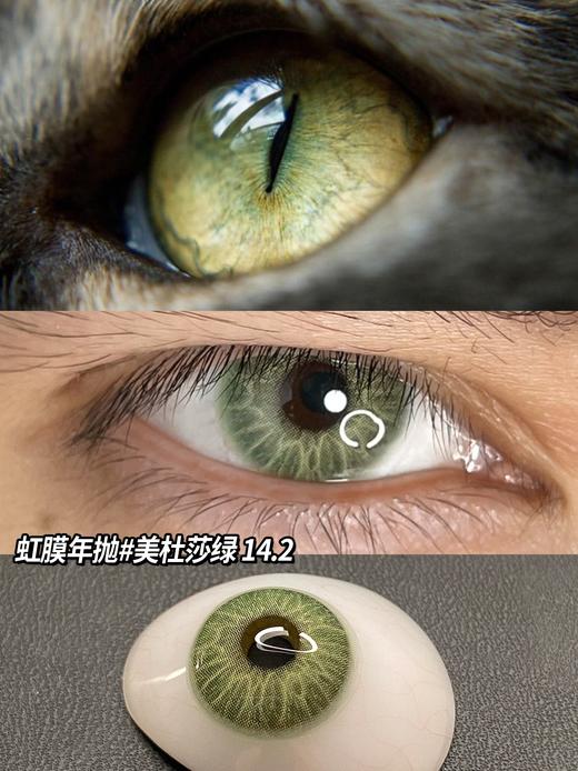 mliilens 美瞳年抛 美杜莎绿 直径14.2mm着色13.7mm 商品图9