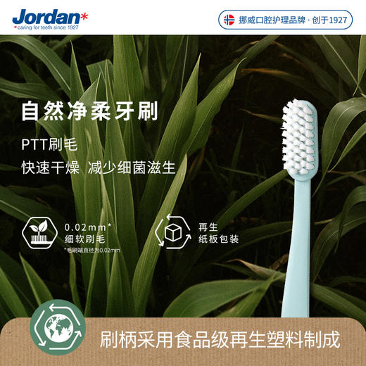 【成人系列】挪威Jordan进口成人环保牙刷弹力护龈牙刷红点设计奖软毛情侣牙刷独立包装、成人牙线 商品图1