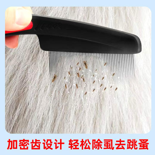 宠物清洁除虱套装（密齿虱梳+体外驱虫喷雾）狗狗清洁工具套装 商品图2