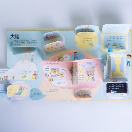 揭秘身体 3-6岁 英国尤斯伯恩出版公司 著 幼儿启蒙 商品图1