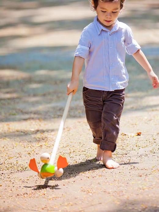 1岁+ | 泰国Plantoys推推乐木质婴儿童推杆学步单杆手推车玩具  12M+ 商品图0